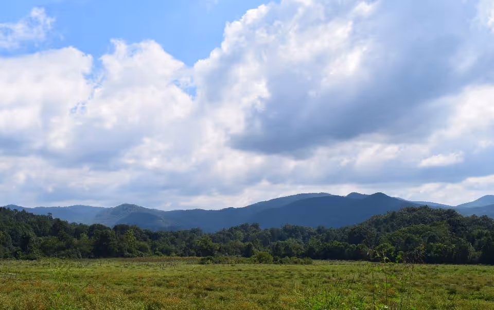 A scenic outdoor view of a green field with trees and forested hills in the background under a partly cloudy blue sky.