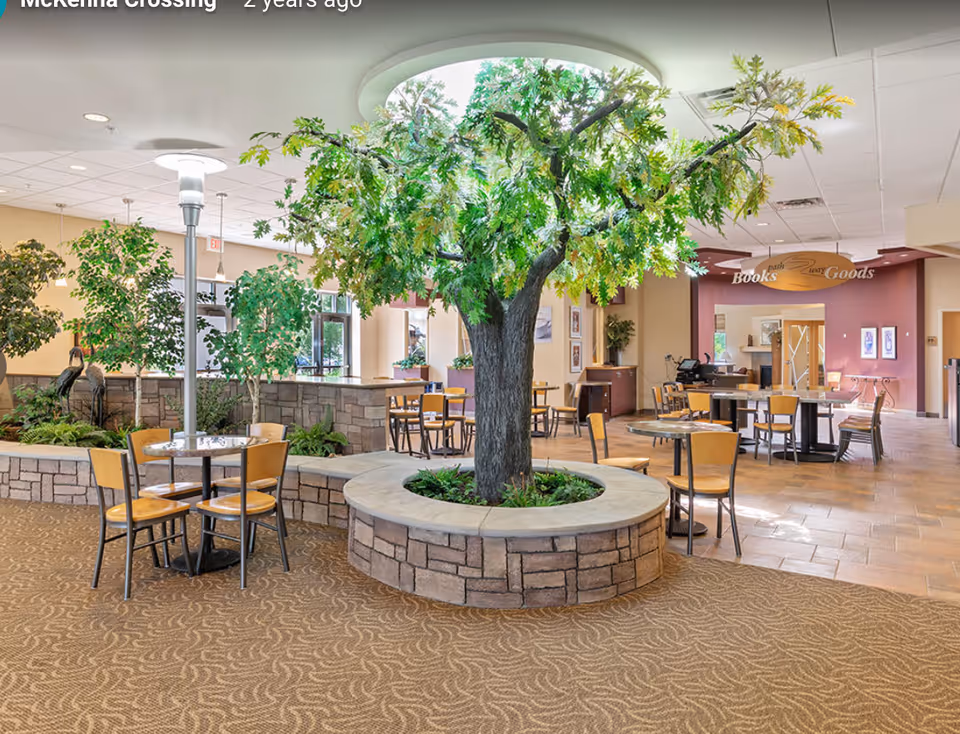 Bright indoor common dining area featuring a large faux tree in a circular stone planter surrounded by tables and chairs.