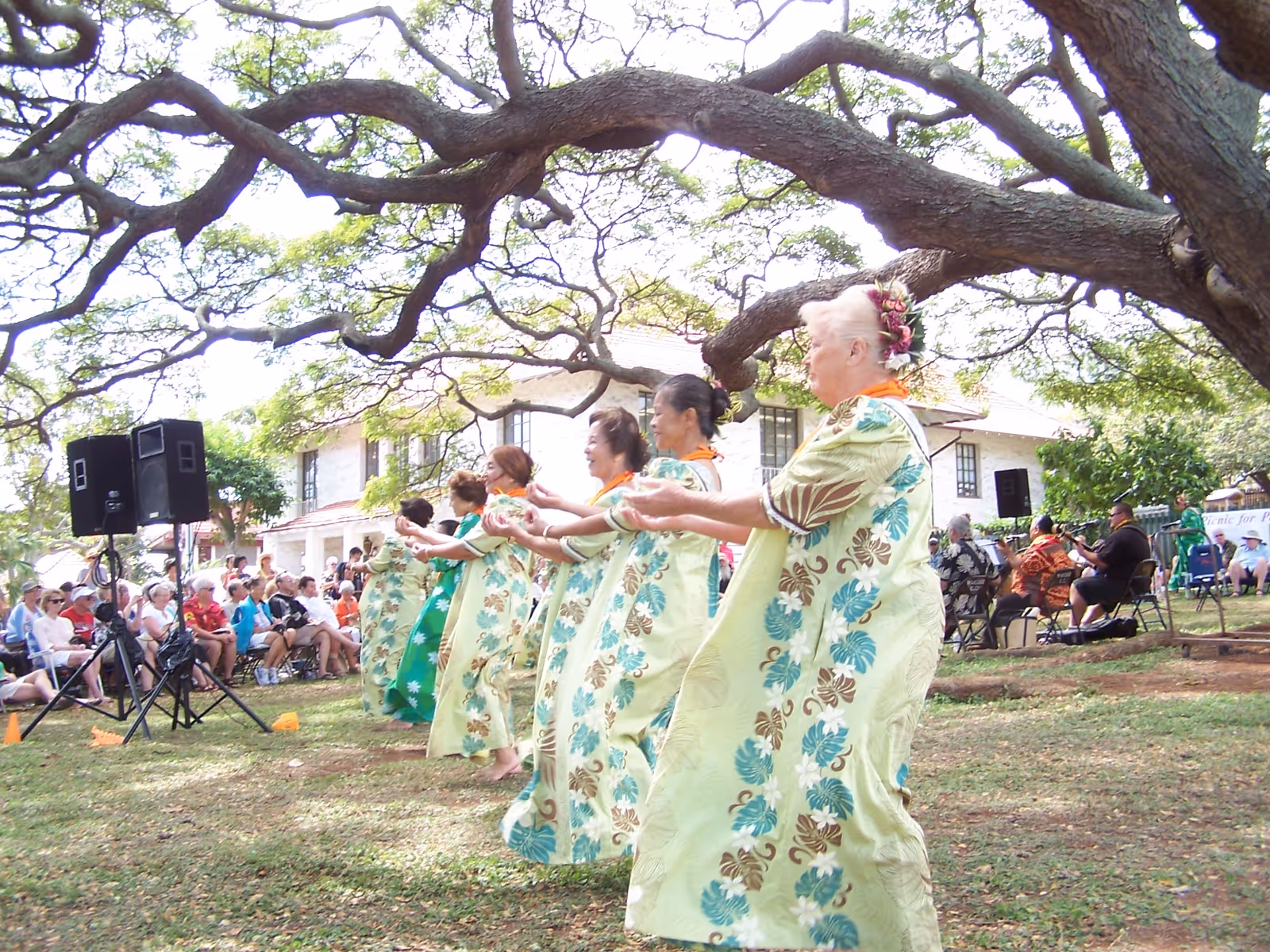 A group of elderly women dressed in matching floral dresses and orange leis perform a traditional dance outdoors under large tree branches. In the background, an audience sits on chairs watching the performance, with musicians playing instruments nearby. The setting appears to be a garden or park area with a building visible behind the crowd.