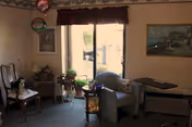 A cozy living room area with a sliding glass door letting in natural light. The room features a cushioned armchair, a small table with plants, a wooden chair with a stuffed dog toy, and framed artwork on the walls. There are also some decorative hanging balloons near the ceiling.