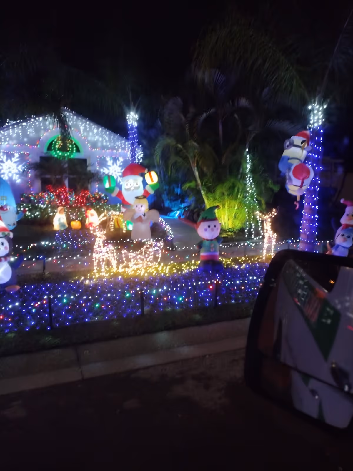 A house decorated with colorful Christmas lights and inflatable holiday characters including Santa Claus, elves, and snowmen. The yard is adorned with string lights, illuminated reindeer figures, and palm trees wrapped in lights, creating a festive nighttime scene.