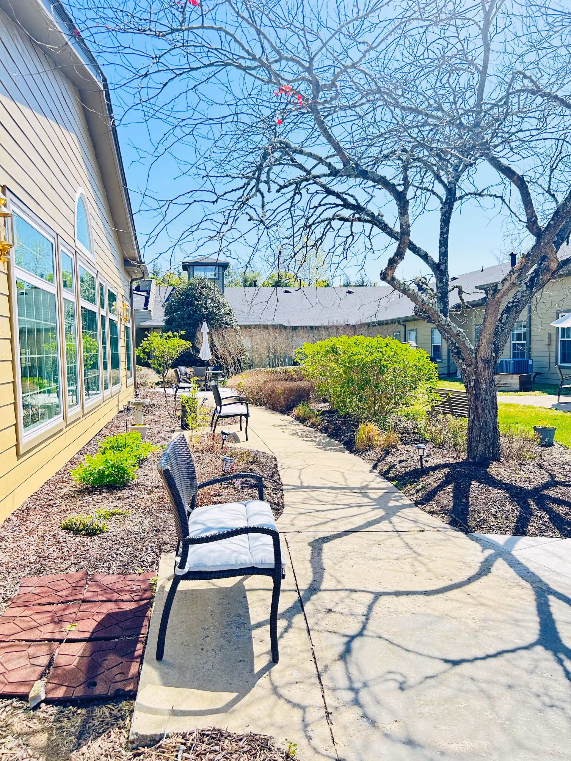 Outdoor garden area at American House Brentwood featuring a paved walkway lined with cushioned chairs, leafless trees casting shadows, green bushes, and a building with large windows on the left side under a clear blue sky.
