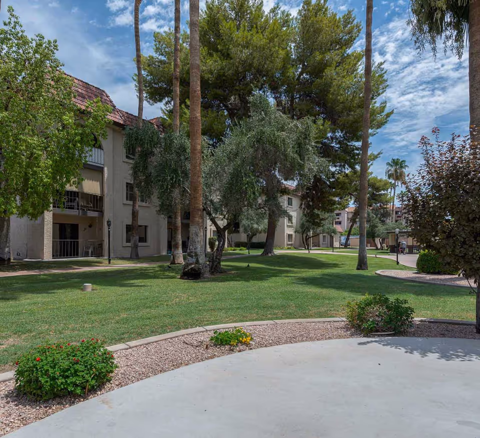 Outdoor view of Olive Grove facility showing a grassy lawn with several trees including tall palm trees, shrubs, and a paved walkway. Beige multi-story buildings with balconies and red-tiled roofs are visible in the background under a partly cloudy sky.