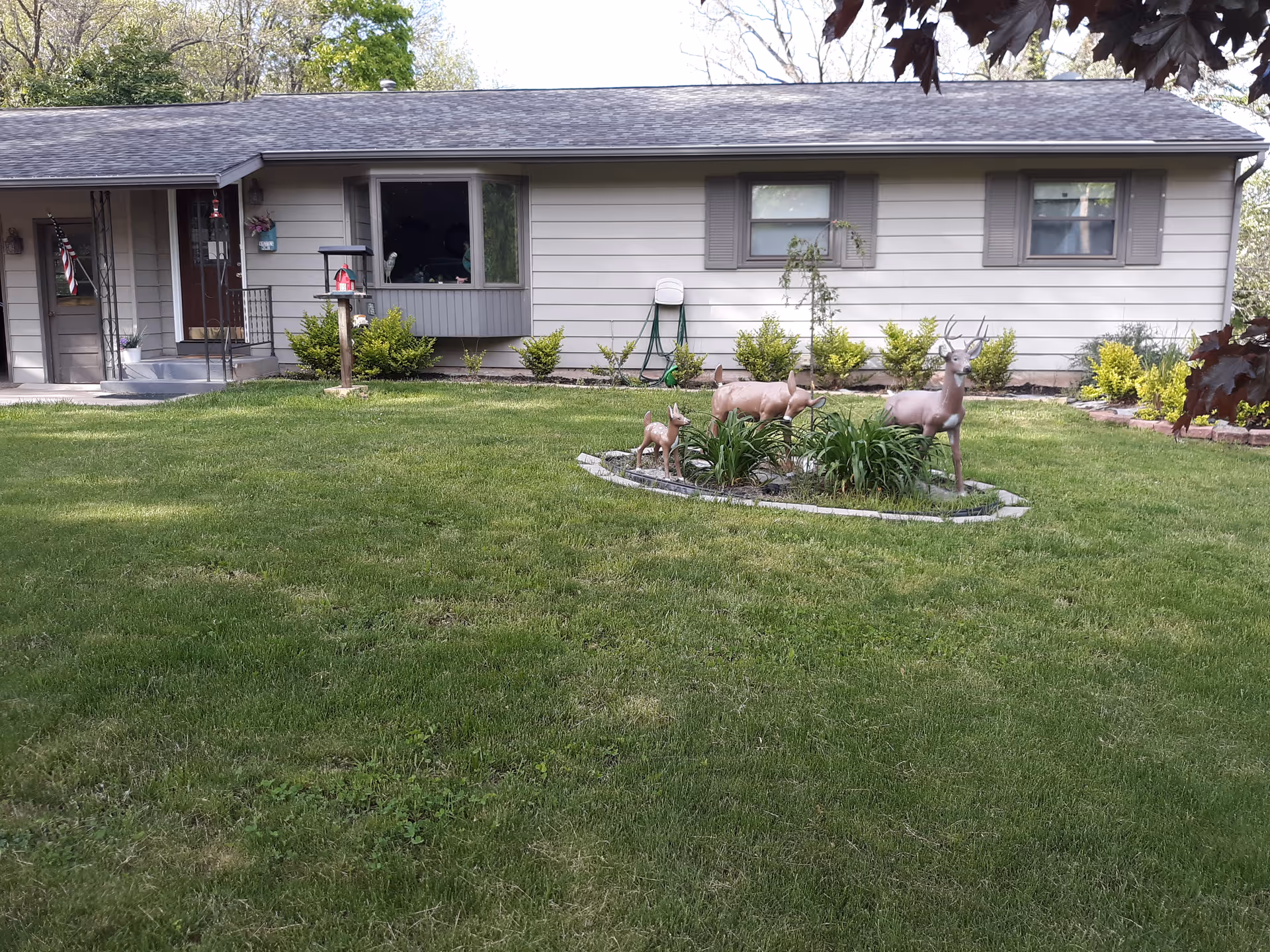 Single-story ranch-style house front with a large grassy yard and decorative deer statues in a small landscaped bed.