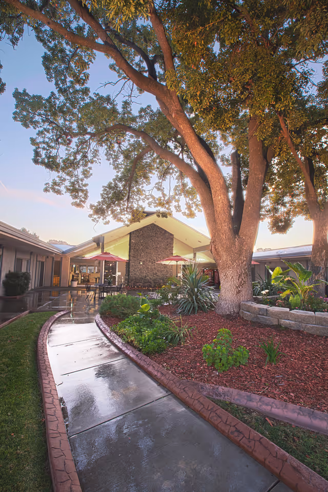 A wet concrete pathway curves through a landscaped garden area with mulch, plants, and large trees, leading to a building with a stone facade and outdoor seating with red umbrellas under a clear sky.