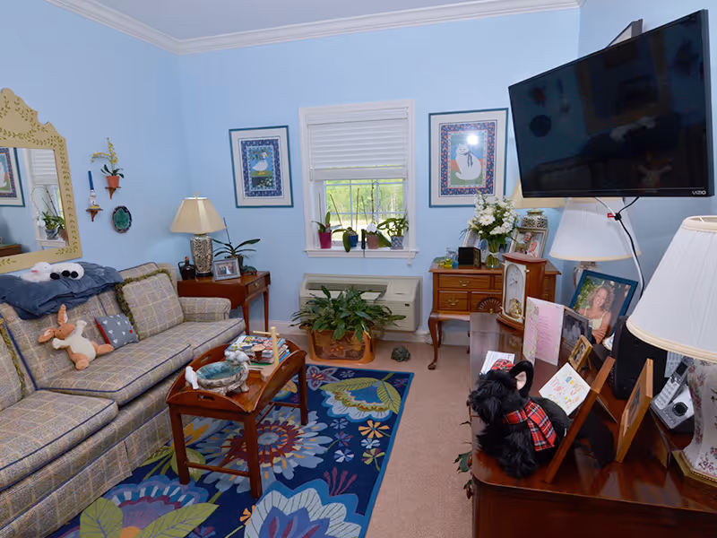 A cozy living room with light blue walls, a plaid sofa with stuffed animals, a wooden coffee table with books and decorative items, a colorful floral rug, a window with plants on the sill, framed artwork on the walls, a wooden side table with a lamp, and a mounted flat-screen TV. There are also various framed photos and a black stuffed dog on a wooden piano or cabinet.