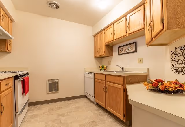 Small kitchen with oak cabinets, a sink, dishwasher, stove with red towels, and decorative items on the countertops.