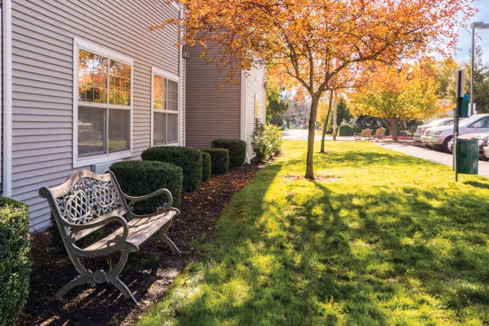 Outdoor area of Lakeland Senior Living featuring a wooden bench with decorative metal armrests and backrest, neatly trimmed bushes, a tree with autumn-colored leaves casting shadows on the green grass, and a parking area with several cars in the background.