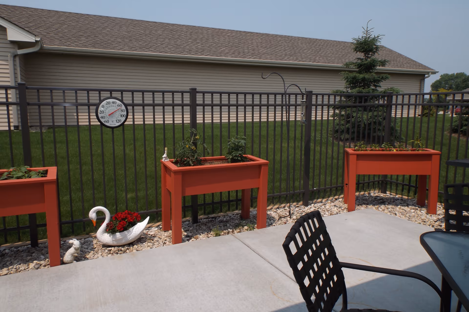 Outdoor patio area with black metal chairs and a glass table on a concrete floor. There are three red planter boxes with plants inside, placed along a black metal fence. A white swan-shaped planter with red flowers and a small white rabbit statue are on the ground near the planters. A round thermometer is attached to the fence, and a small evergreen tree is visible in the background along with a beige building and green grass.