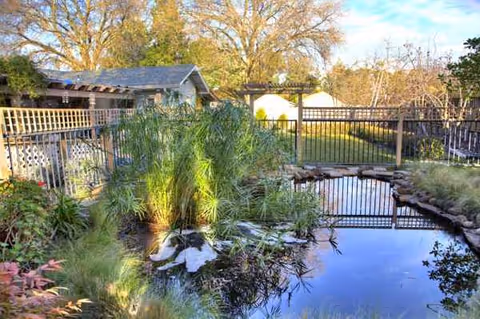 Outdoor courtyard featuring a pond, tall grasses, and a fence around the water.