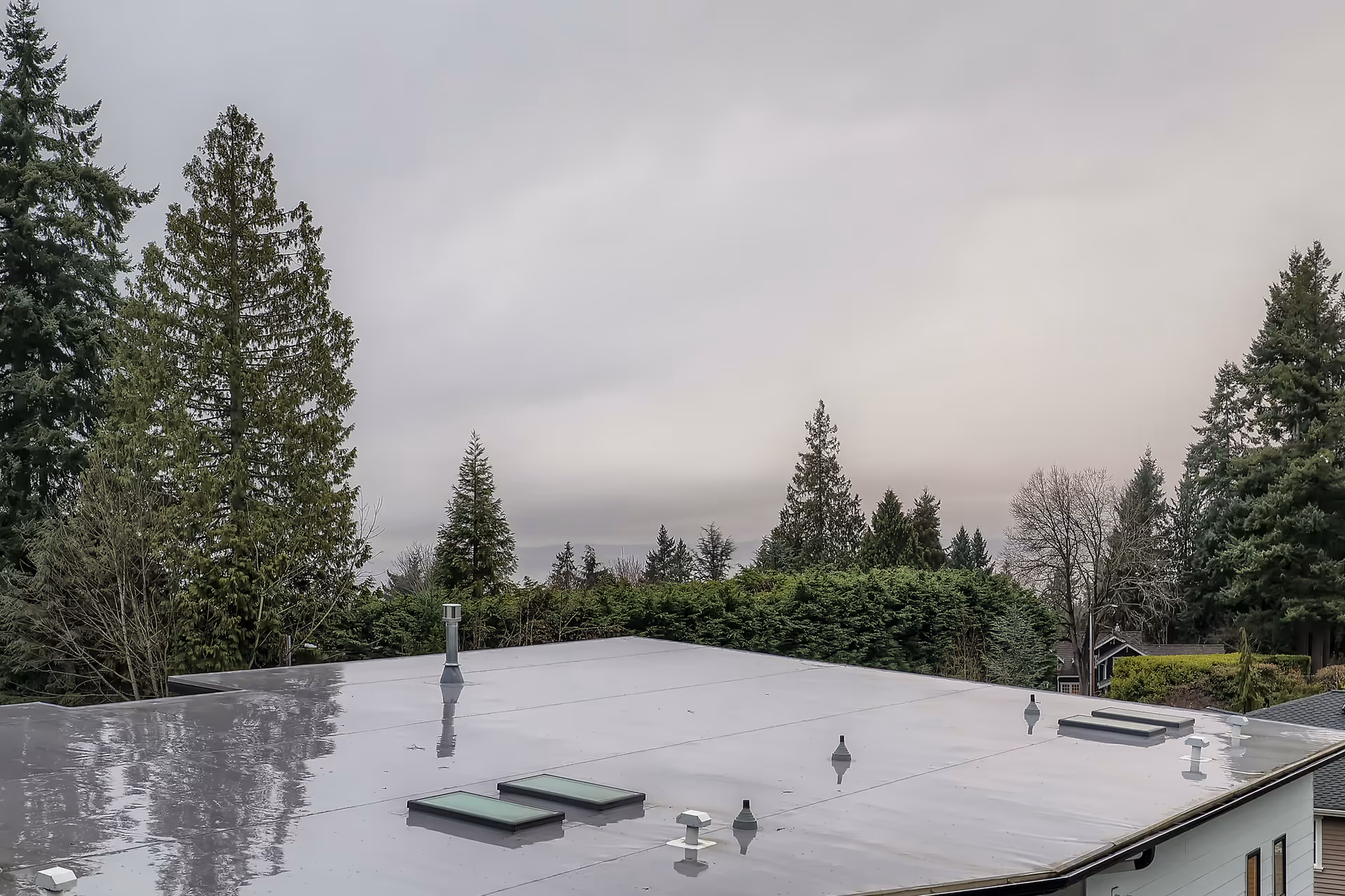 Flat building roof with skylights and vents, surrounded by tall trees under a cloudy sky.