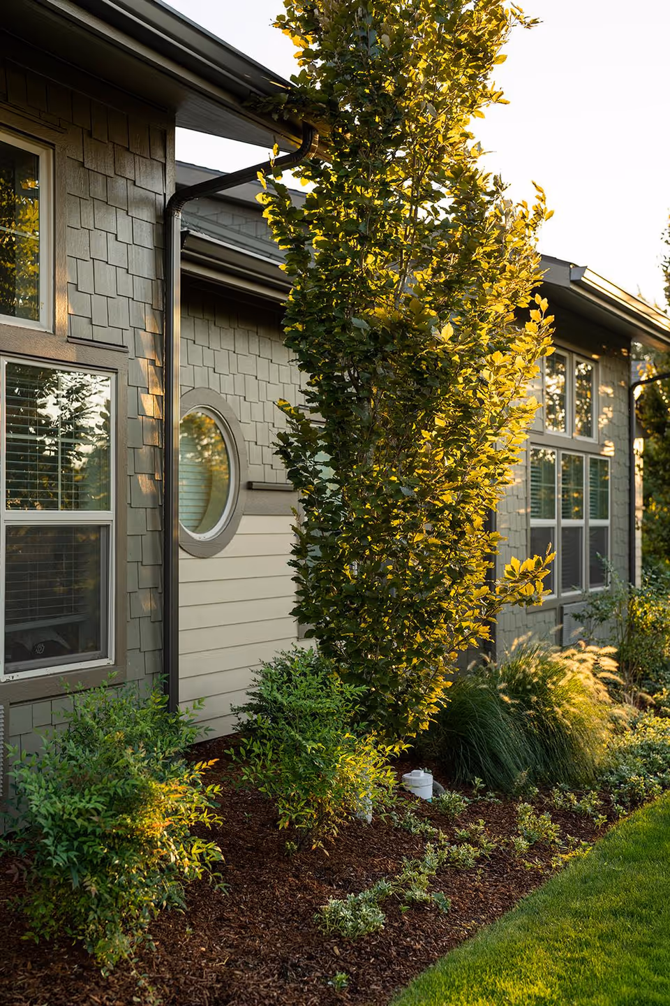 Exterior view of a building with gray siding and multiple windows, surrounded by a landscaped garden with various green shrubs and a tall tree, illuminated by warm sunlight.