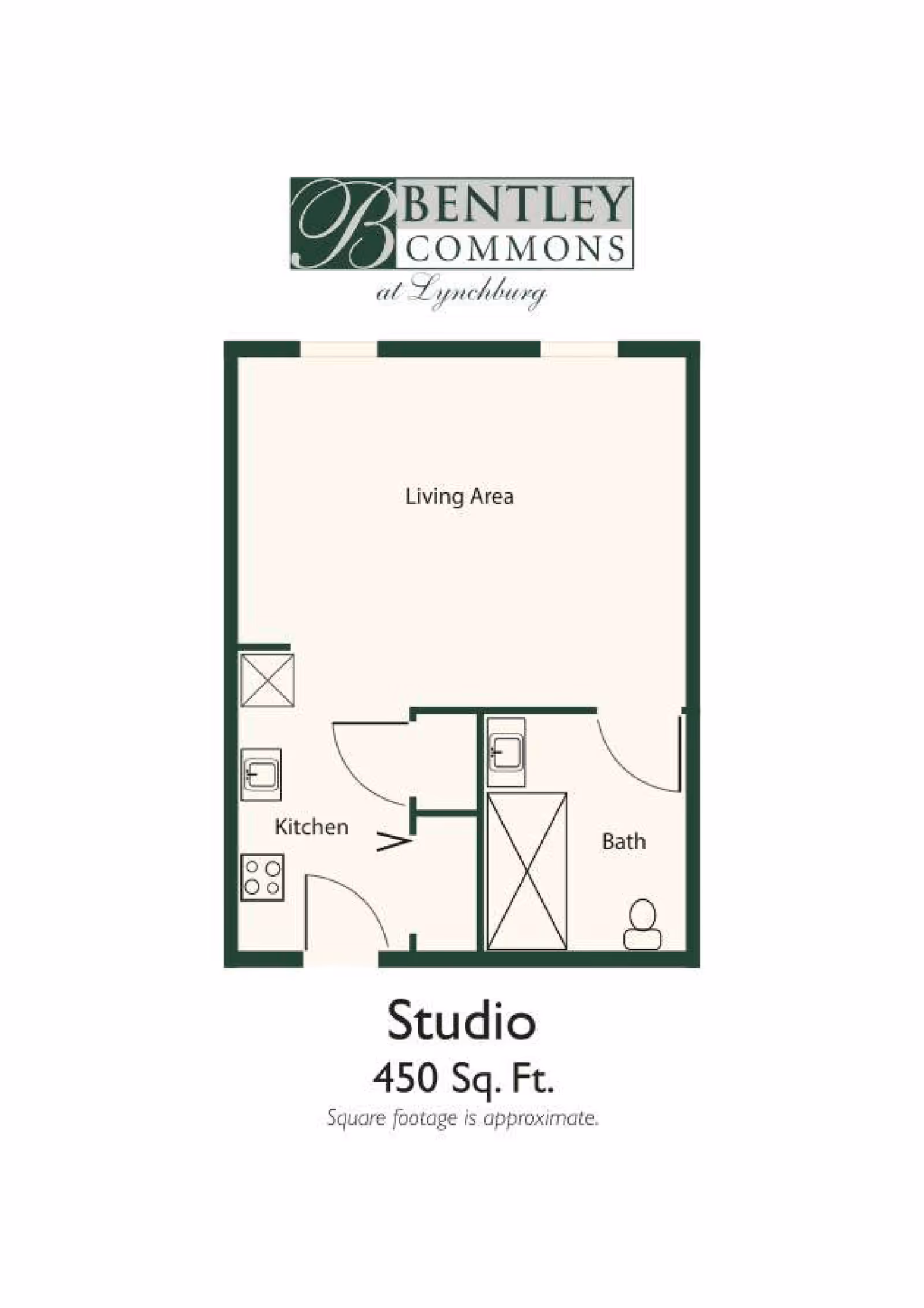 Floor plan of a studio apartment at Bentley Commons at Lynchburg showing a living area, kitchen, and bathroom with a total area of 450 square feet.
