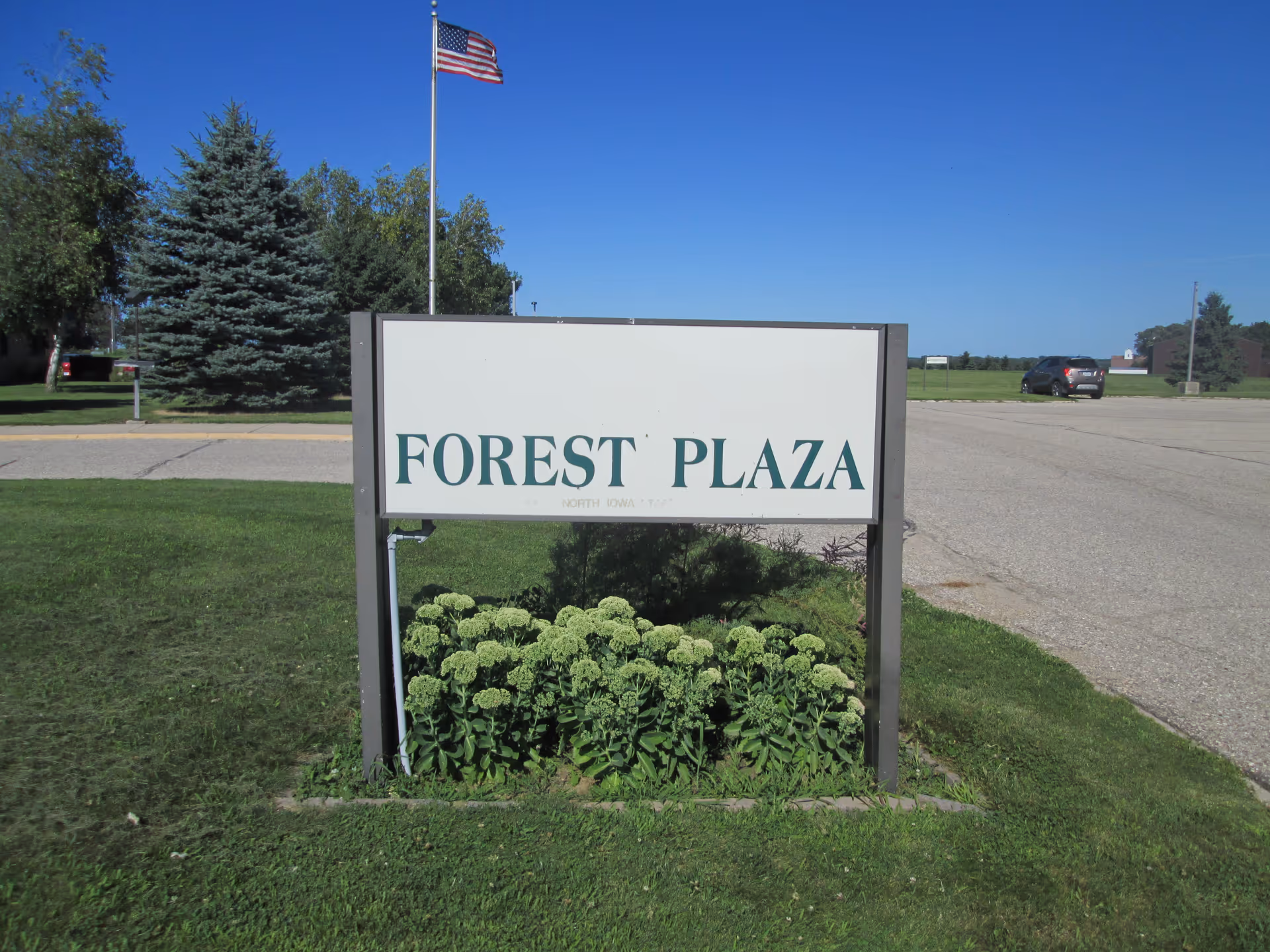 A large white sign with green text reading 'FOREST PLAZA' is displayed outdoors on a grassy area with some green plants in front of it. Behind the sign, there is a paved road, an American flag on a flagpole, several trees, and a clear blue sky.