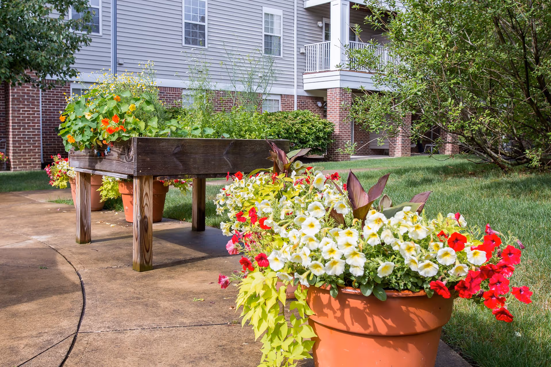 Outdoor garden area at Independence Village of Avon Lake featuring a raised wooden planter box with green plants and flowers, surrounded by large terracotta pots filled with vibrant red, white, and yellow flowers. The background shows part of a building with brick and siding, windows, and a balcony.
