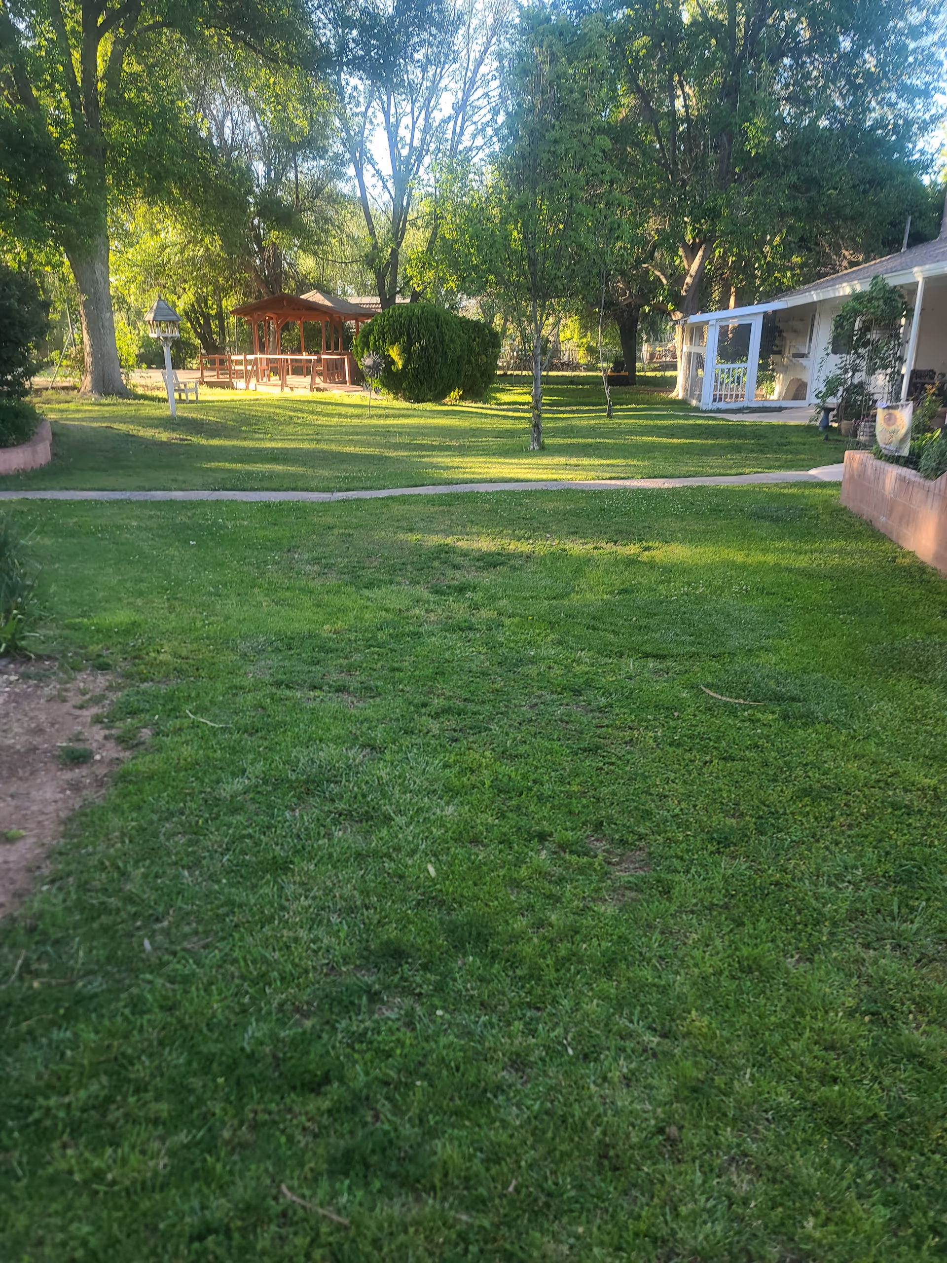 A lush green lawn with a paved walkway running through it, surrounded by trees and bushes. On the left side, there is a birdhouse on a post, and in the background, there is a wooden gazebo. On the right side, there is a white building with a covered porch and some plants near the entrance. The scene is well-lit with natural sunlight.