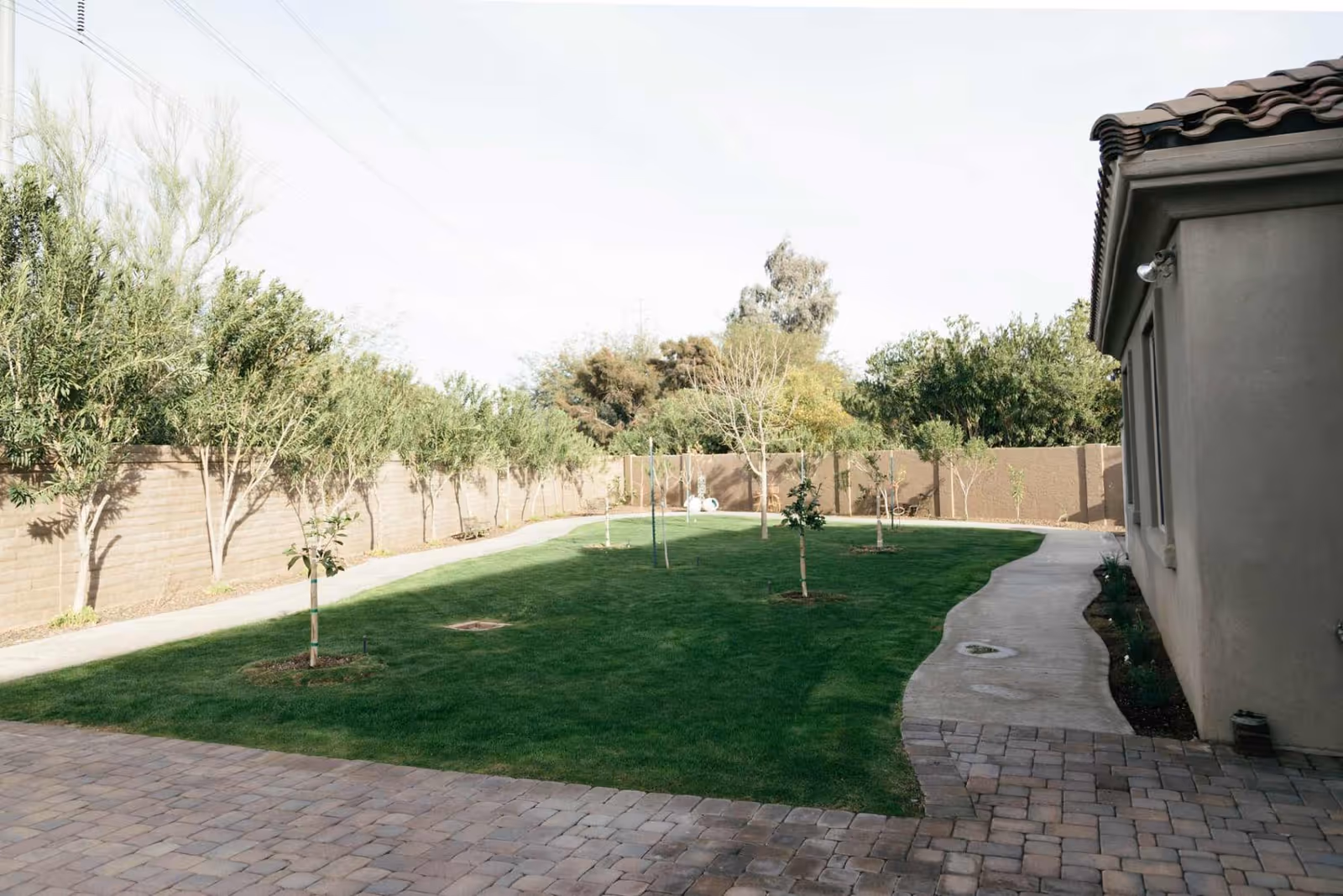 A well-maintained outdoor garden area with a green lawn, young trees planted in the grass, a paved walkway curving alongside a building with a tiled roof, and a brick wall lined with mature trees in the background.