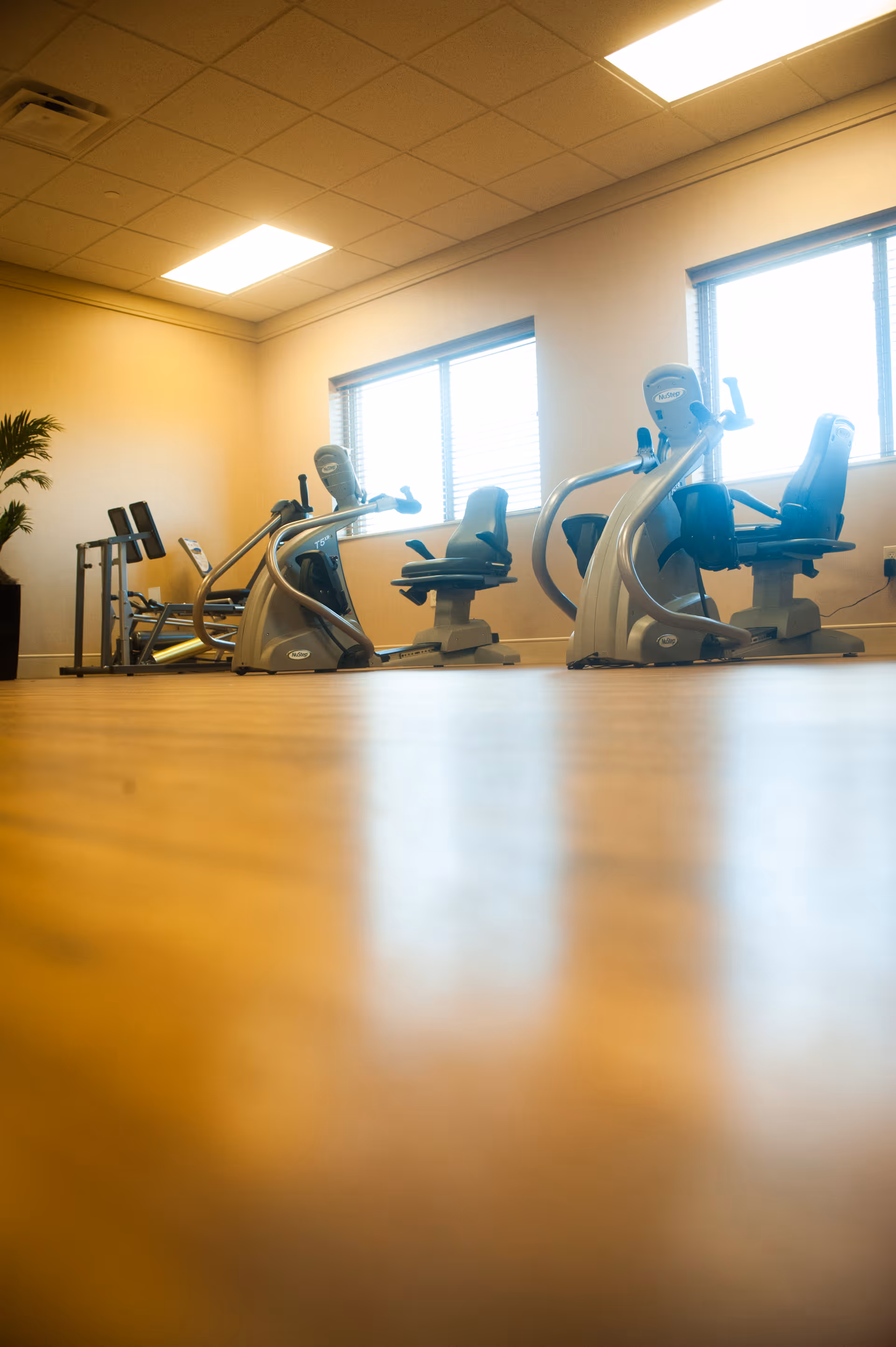 A fitness room with exercise equipment including recumbent stationary bikes and other workout machines, with large windows letting in natural light and a potted plant in the corner.