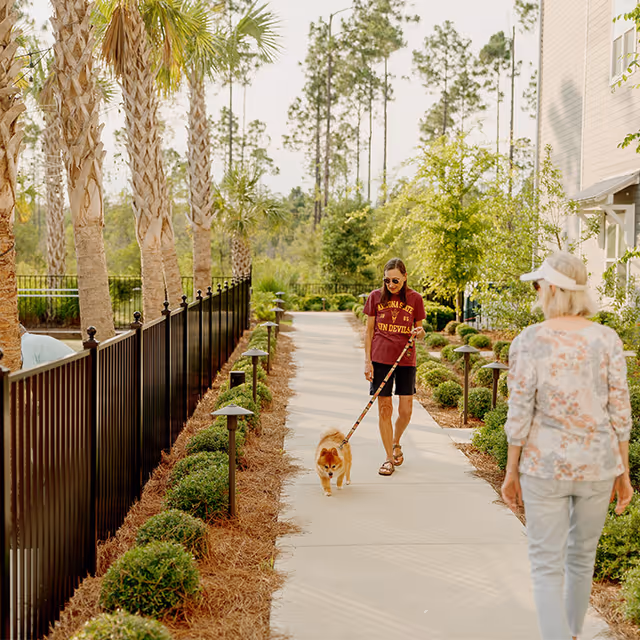 A woman walking a small dog on a leash along a paved pathway lined with bushes and small lights, with another woman walking ahead. The pathway is bordered by a black metal fence on one side and greenery on the other, with tall palm trees and other trees in the background.
