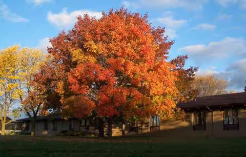Autumn trees surround the Swiss Village Retirement Community exterior building.