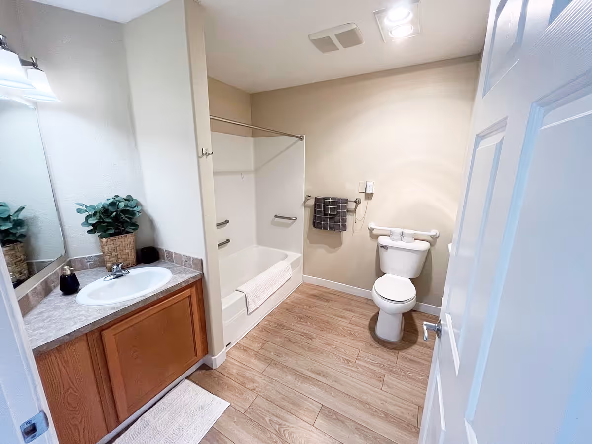 A clean and accessible bathroom with a white bathtub equipped with grab bars, a white toilet with grab bars on the wall behind it, a wooden vanity with a sink, a large mirror, a potted plant, and a towel hanging on a rack. The floor has wood-like tiles and the walls are painted beige.