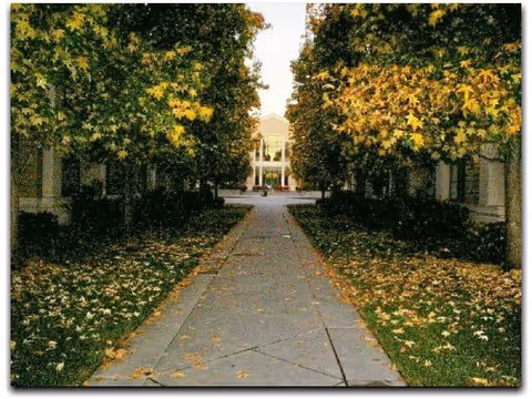 A paved walkway lined with trees on both sides leading to a building entrance. The trees have green and yellow leaves, and fallen leaves are scattered on the ground.