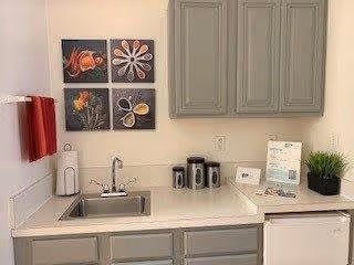 A small kitchenette area with a stainless steel sink, three canisters, a paper towel holder, and a mini refrigerator. Above the counter are gray cabinets and four framed pictures of seashells and flowers on the wall. A red towel hangs on a rack to the left, and a small potted plant and informational pamphlets are on the counter to the right.