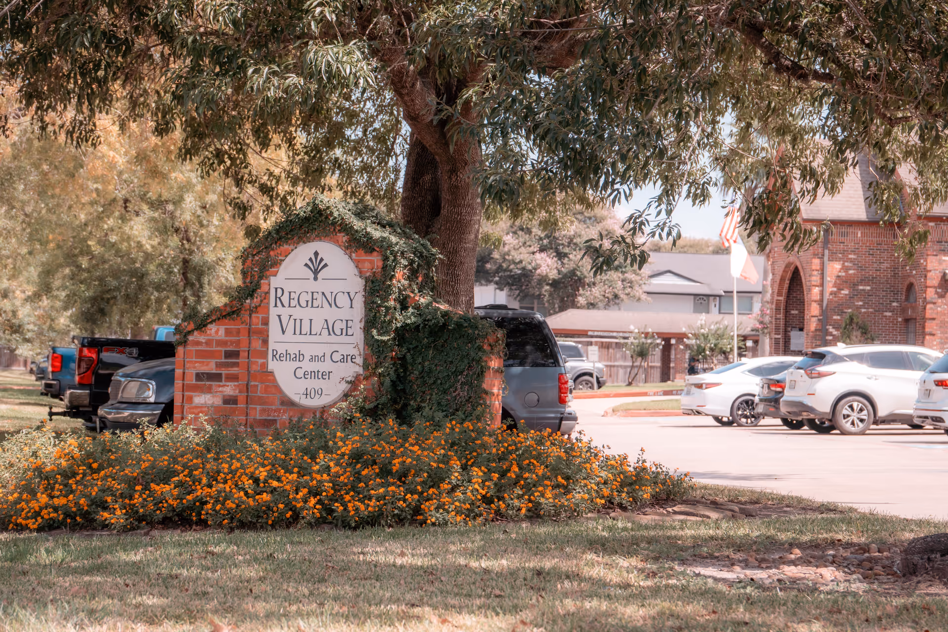 Outdoor view of the Regency Village Rehab and Care Center sign surrounded by orange flowers and greenery, with parked cars and buildings in the background under a large tree.