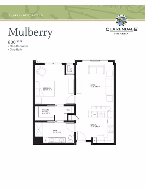 Floor plan of Mulberry apartment at Clarendale of Mokena showing a one-bedroom, one-bath layout with 800 square feet. The plan includes a bedroom, walk-in closet, bathroom, living room, kitchen, and washer/dryer area.