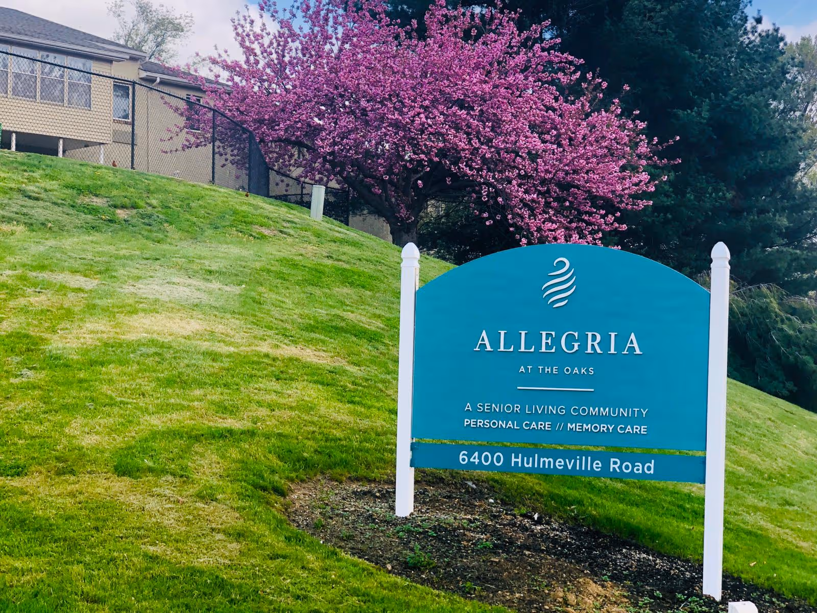 Blue Allegria at the Oaks senior living community sign on a grassy hill with a blooming pink tree and a building in the background.