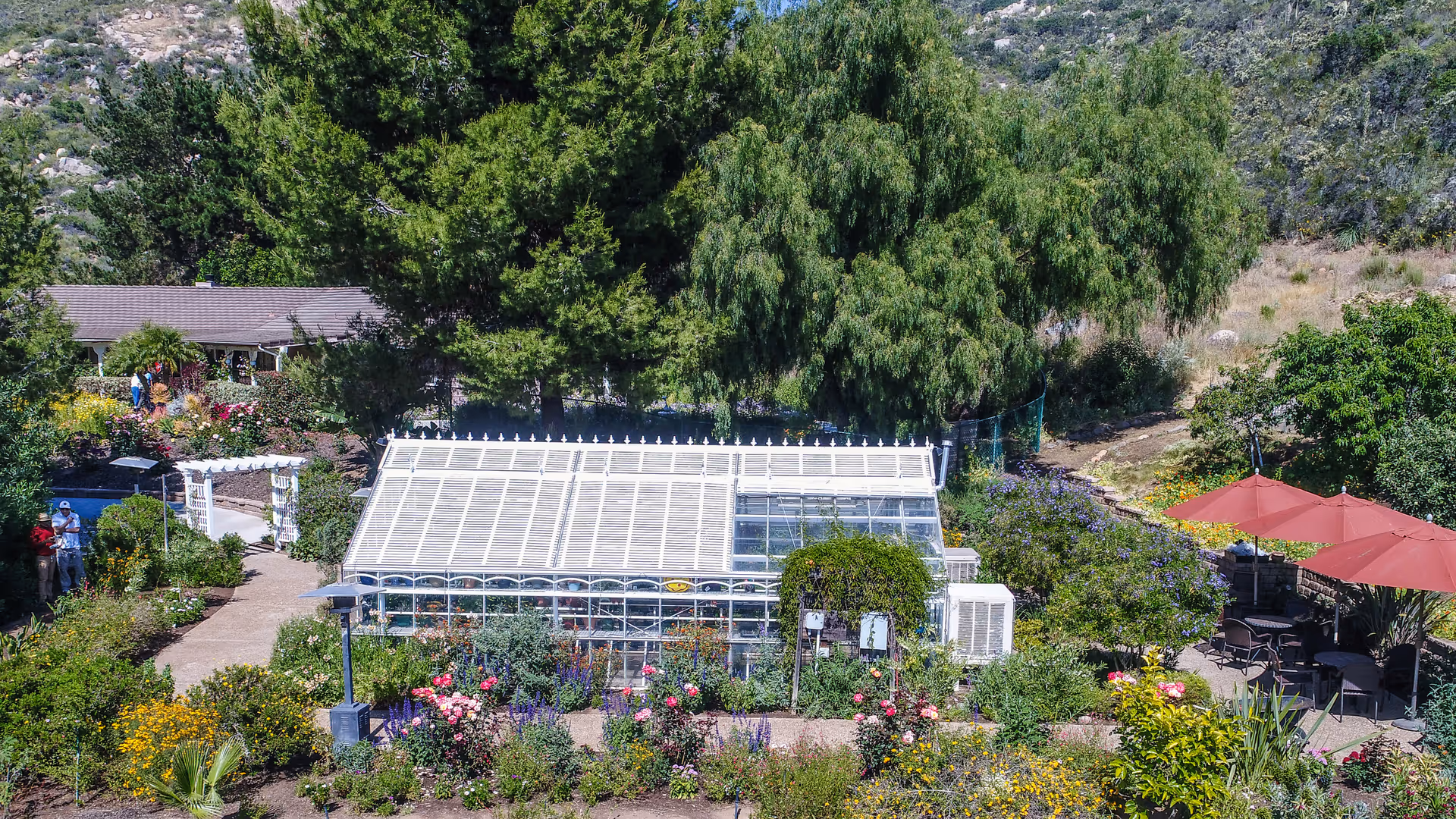 A glass greenhouse surrounded by colorful flowerbeds, garden paths, large trees, and outdoor seating with red umbrellas.