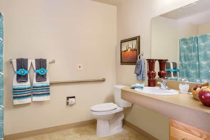 Accessible bathroom with a toilet, countertop sink, grab bar, decorative towels and a teal patterned shower curtain.