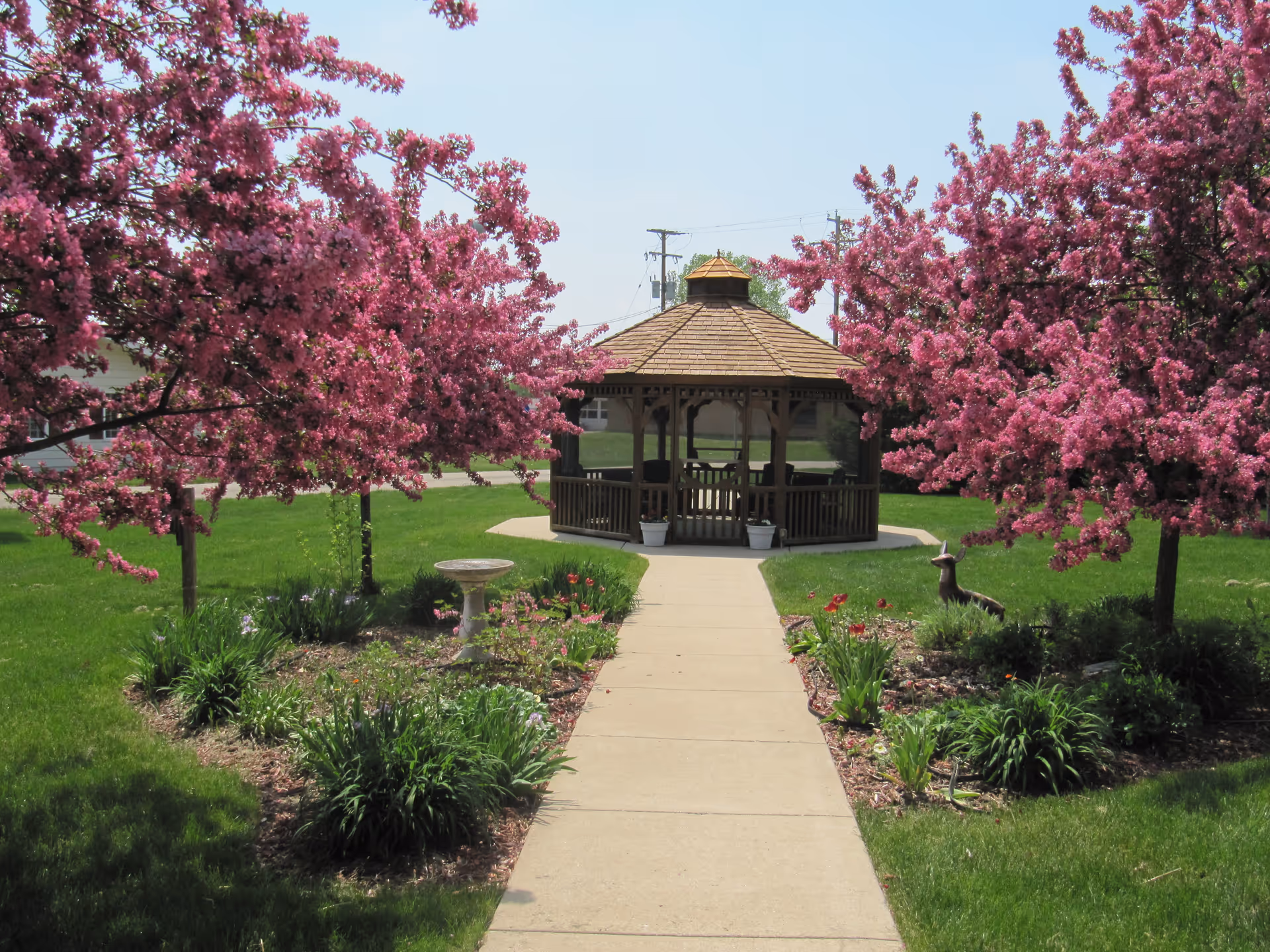 A paved walkway leads to a wooden gazebo surrounded by green grass and landscaped flower beds. Two trees with vibrant pink blossoms frame the walkway on either side, and a birdbath and small garden statue are visible among the plants.