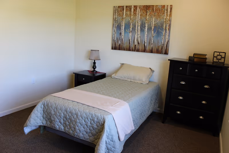 A simple bedroom with a single bed covered in a light blue quilt and a white sheet folded at the foot. There is a pillow at the head of the bed. To the left of the bed is a small black nightstand with a lamp on it. On the right side of the room is a black dresser with several drawers, topped with a few decorative items including books and a small framed object. A painting of birch trees hangs on the wall above the bed. The walls are painted a light cream color and the floor is carpeted in a neutral tone.