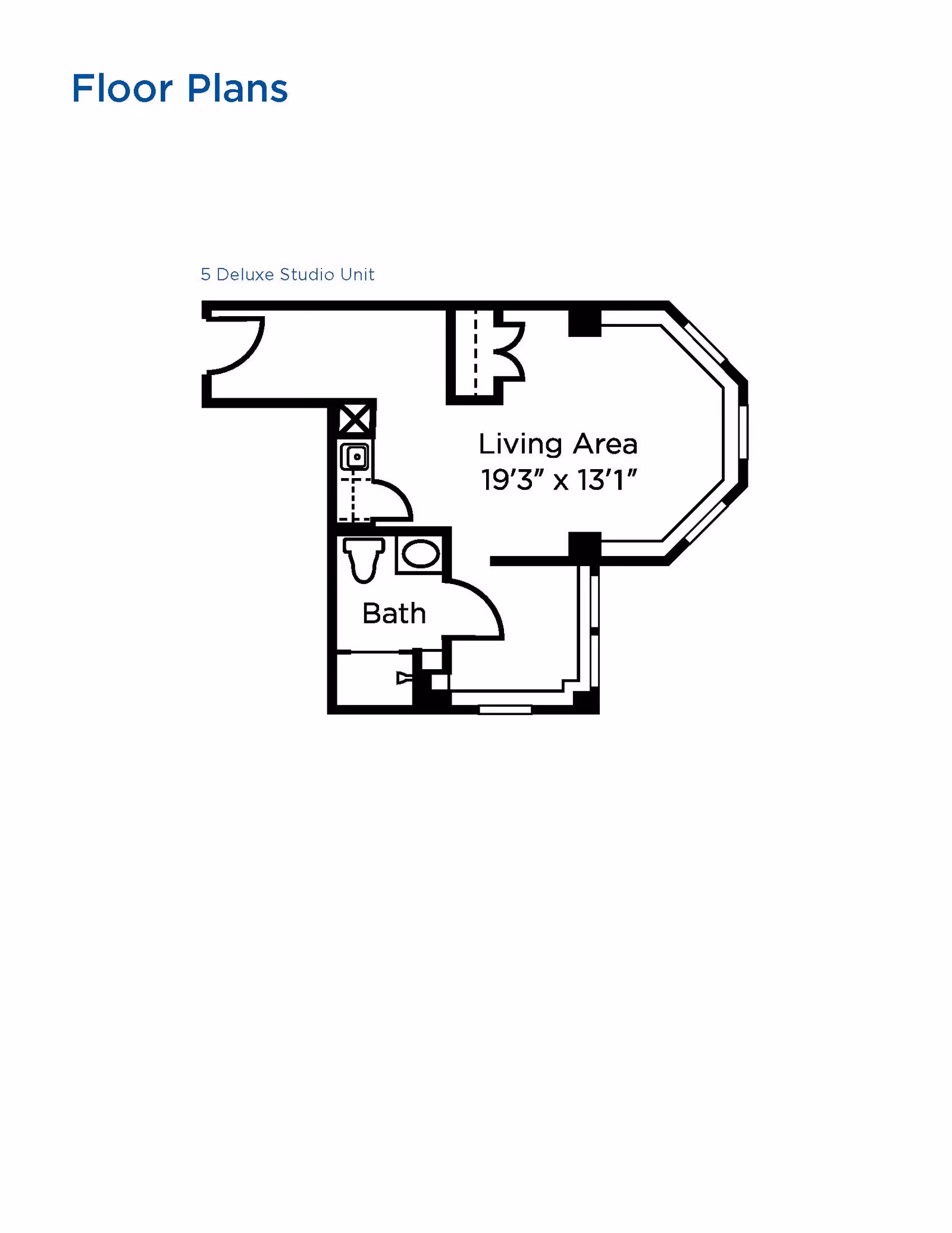 Floor plan of a deluxe studio unit showing a living area measuring 19 feet 3 inches by 13 feet 1 inch, and a bathroom with a toilet and sink.