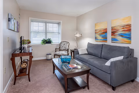 Bright living room with a gray sofa, coffee table, armchair, TV stand, and window with plants.