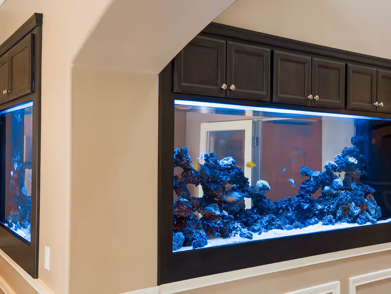 Large built-in aquarium with blue coral and small colorful fish, set into a wall with dark wood cabinetry above and beige walls surrounding it.
