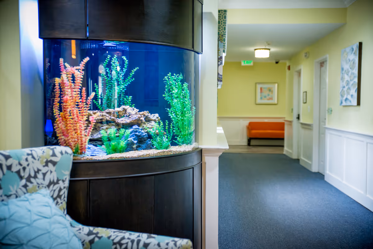 A large curved aquarium beside a patterned armchair in a brightly lit hallway with seating and framed artwork.