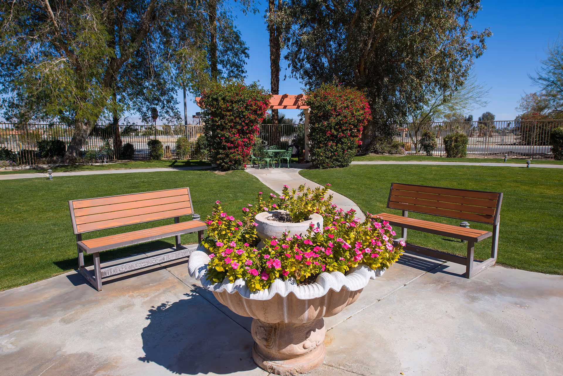 A landscaped courtyard with a large decorative planter filled with pink flowers, two wooden benches, and a pergola with greenery in the background.