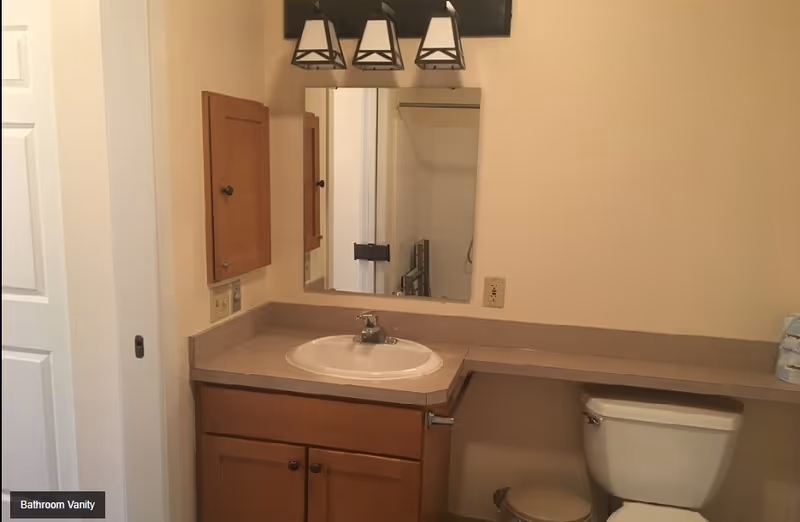 Bathroom vanity with a sink, mirror, wooden cabinets, and a toilet partially visible under the countertop. The walls are beige and there is a light fixture above the mirror.