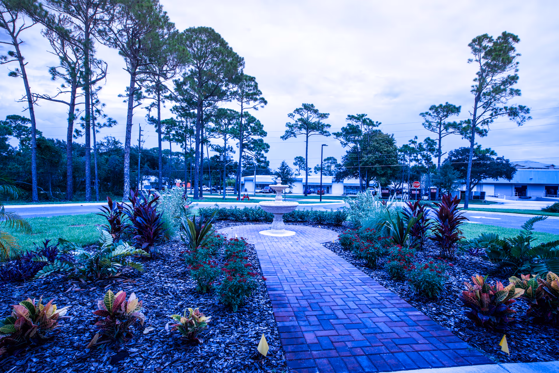 Brick walkway through landscaped gardens leading to a small fountain with pine trees and buildings beyond.