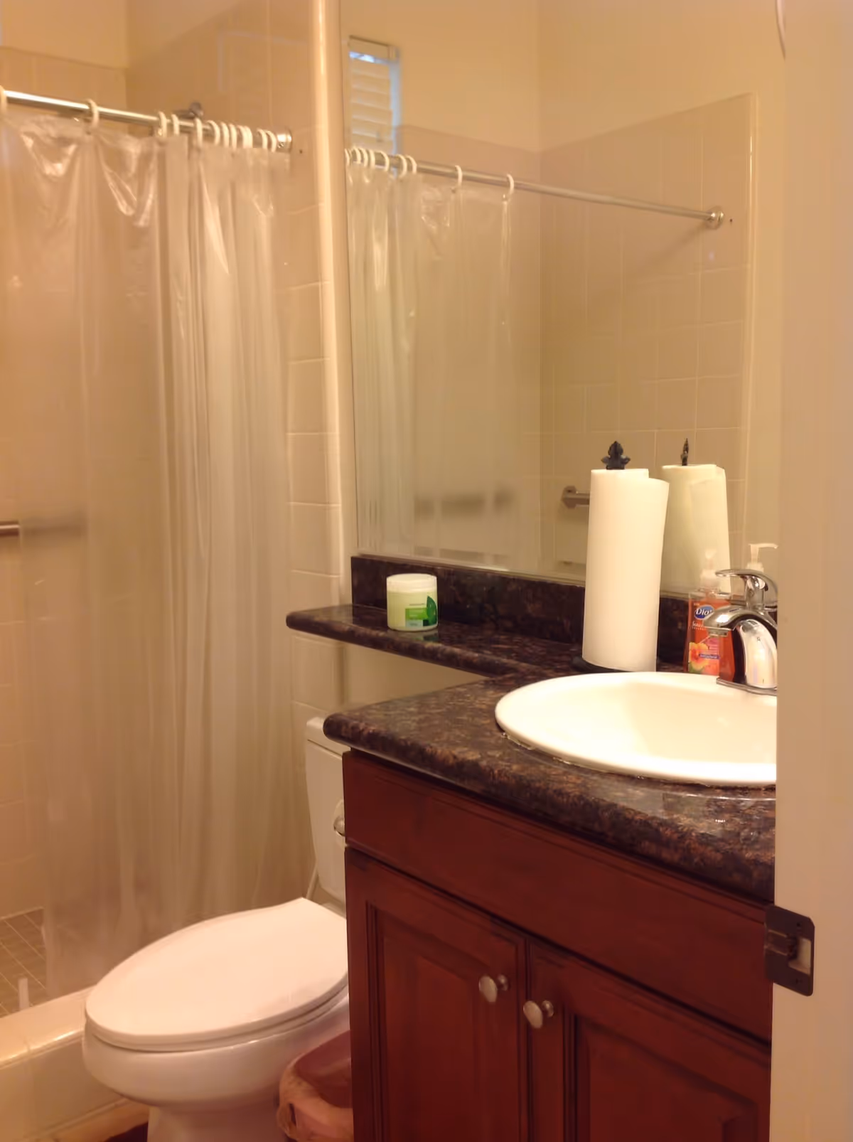 Bathroom with a toilet, a shower area with a clear plastic curtain, a dark granite countertop with a white sink, a roll of paper towels, a container of cream, and a bottle of hand soap. The walls are tiled and there is a large mirror above the sink.