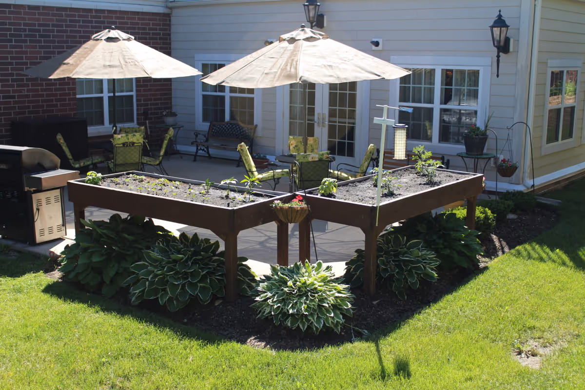 Raised wooden planter beds and hosta plants in a sunny courtyard patio with umbrellas, chairs, and sliding glass doors.