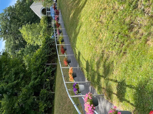 A paved pathway lined with colorful flower pots on both sides, leading towards a building with a triangular roof surrounded by lush green trees and grass.