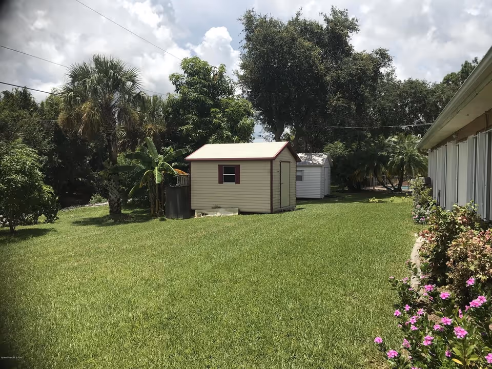 Grassy backyard with two small storage sheds, palm trees, and flowering shrubs along the side of a building.