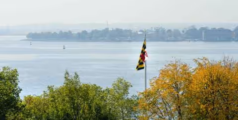 Waterfront view with trees and a flagpole in the foreground.