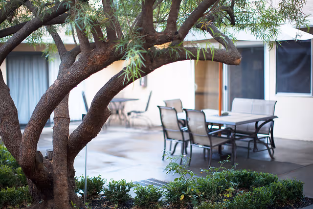 Outdoor patio area with a large tree in the foreground, surrounded by green shrubs. In the background, there is a table with six chairs on a concrete surface, adjacent to a building with windows and a sliding door.