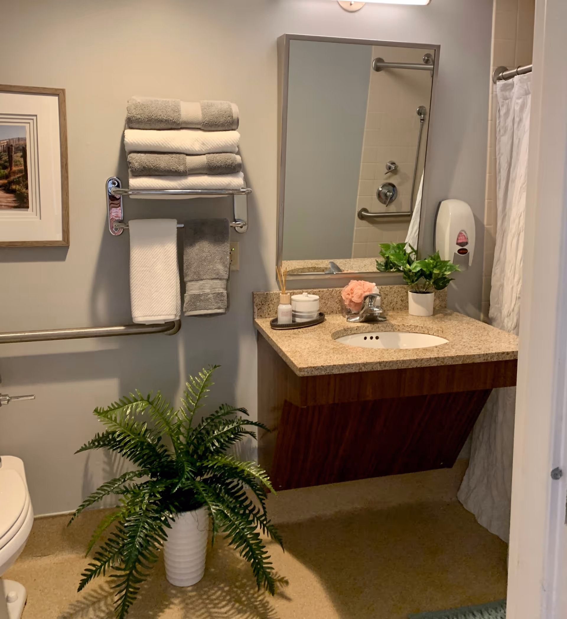 A bathroom with a wall-mounted sink and granite countertop. Above the sink is a rectangular mirror. To the right of the sink is a soap dispenser mounted on the wall and a shower curtain. On the countertop are a small potted plant, a pink flower decoration, and some toiletries. On the left wall, there is a towel rack holding folded gray and white towels, and below it is a grab bar. A framed picture hangs on the wall above the grab bar. A large potted fern plant is on the floor near the sink.
