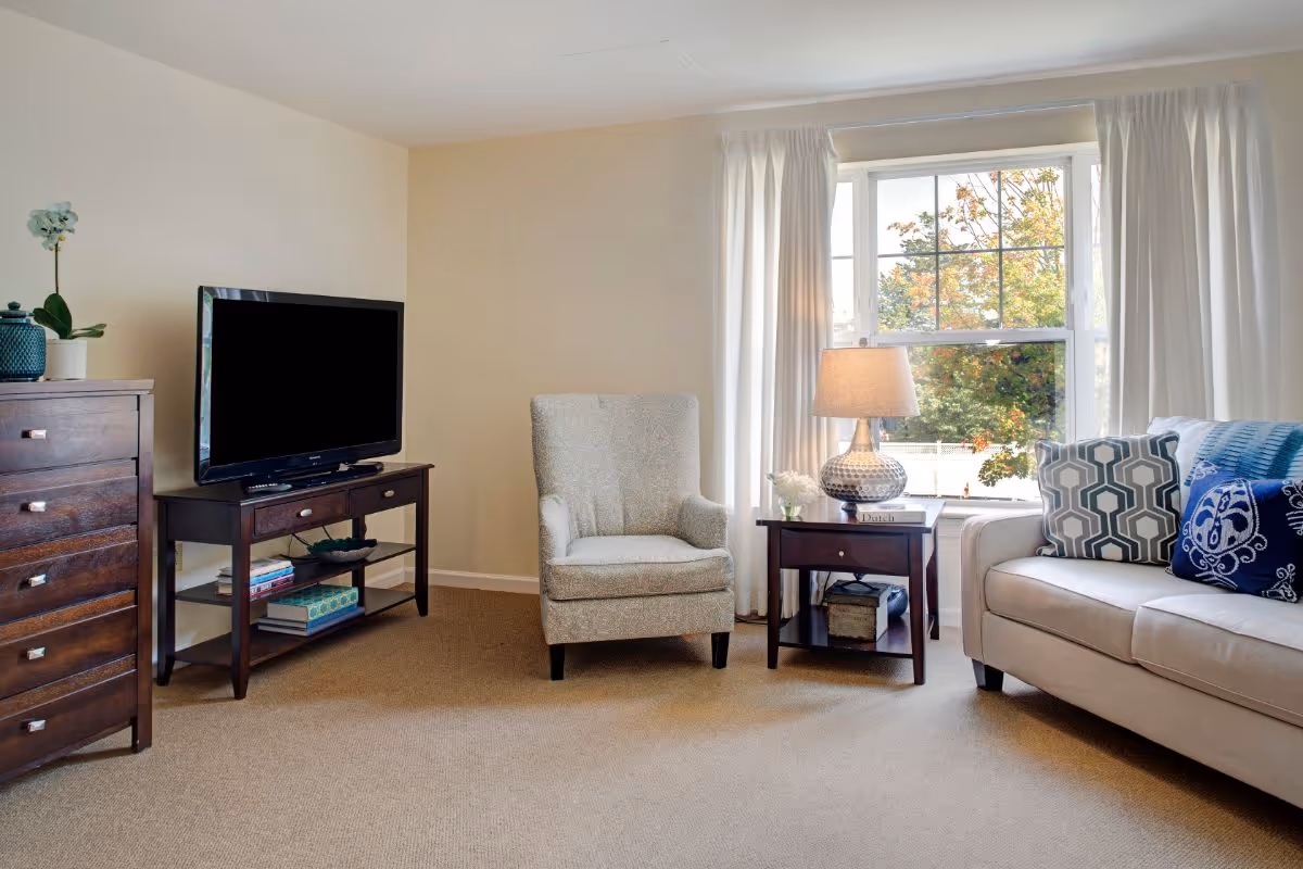 Bright living room with an armchair, sofa with patterned pillows, TV on a console, and a side table with a lamp by a window.