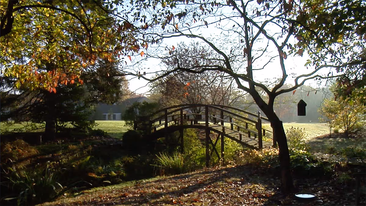 A sunlit garden scene with a wooden arched footbridge over a small stream surrounded by trees and fall foliage.